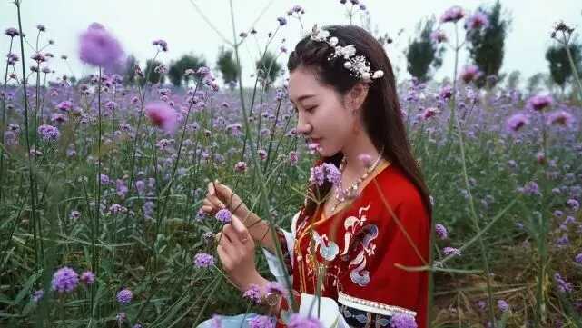 中国红·齐鲁行 | 十一出游，请带上这份「济宁打卡地图」！