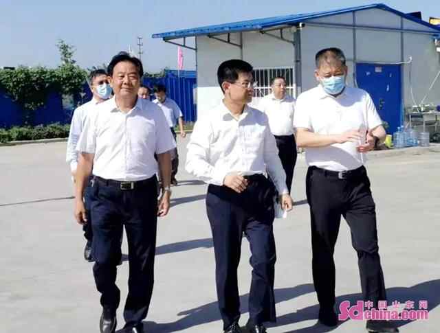 济宁市政协主席张继民一行到济州港项目现场调研督导工作