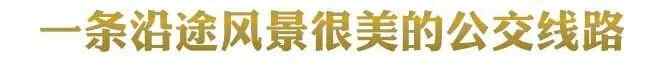 花2元钱，带你走遍济宁！