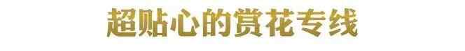 花2元钱，带你走遍济宁！