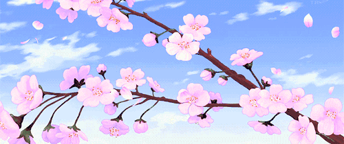 花2元钱，带你走遍济宁！