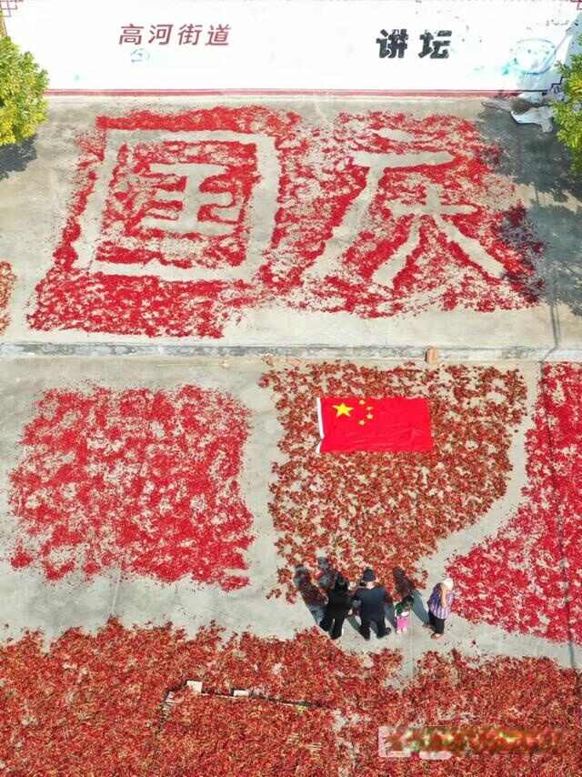 辣椒丰收一地红！山东金乡农民晒“国庆”图案庆佳节