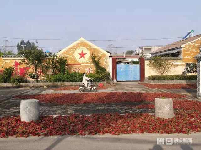 辣椒丰收一地红！山东金乡农民晒“国庆”图案庆佳节