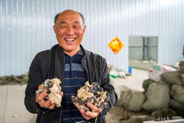 从家庭作坊到规模化种植，鱼台这个村在毛木耳致富路上越走越宽