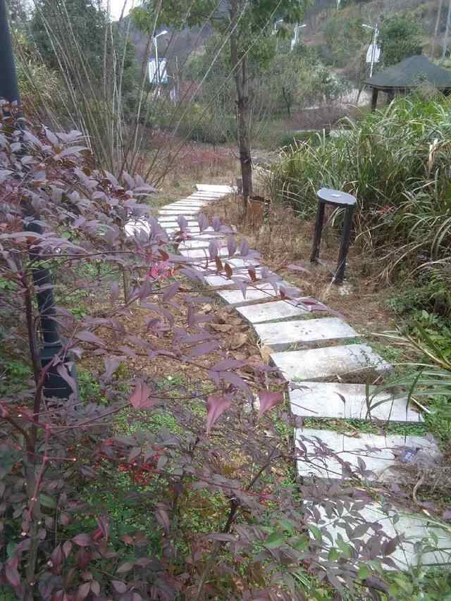 苍南县著名古道之一，金乡镇梅峰古道