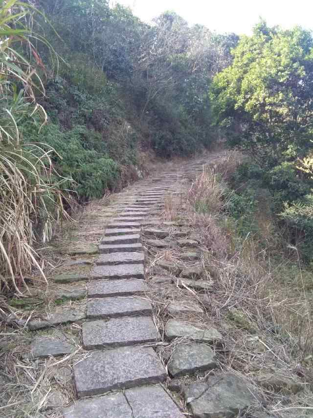 苍南县著名古道之一，金乡镇梅峰古道