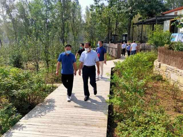 黄金周首日，泗水文旅市场平稳有序