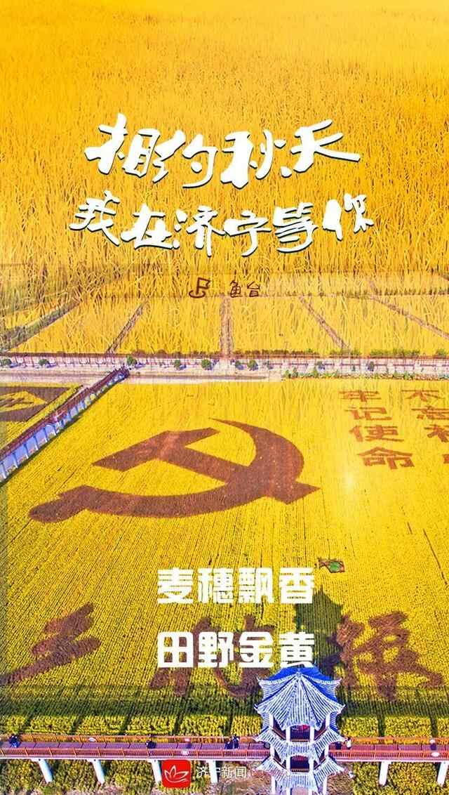 相约秋天，我在济宁等你