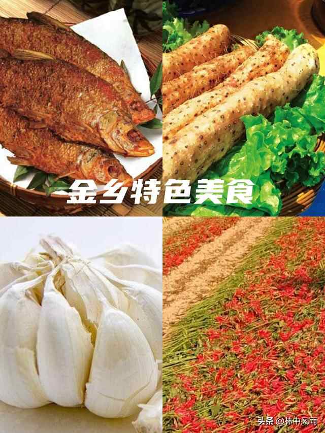 鲁西南的一颗明珠----金乡