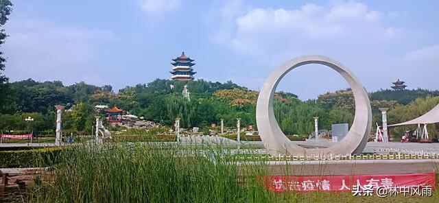 鲁西南的一颗明珠----金乡
