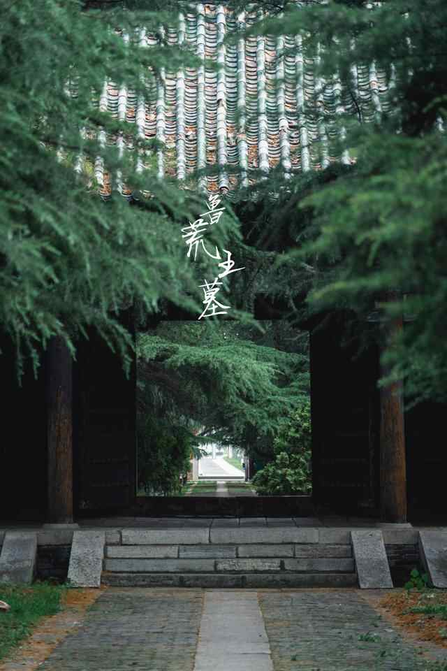 曲阜小众鲁荒王墓｜一个荒唐的王，厚葬于此