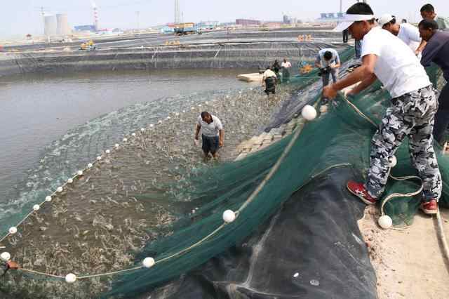 济宁市被列为政府采购领域国家标杆城市