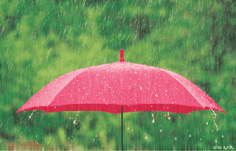 雨雨雨雨雨......济宁这场雨要下到什么时候？