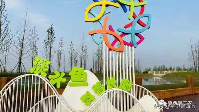 「鱼台旅游」鱼台第一所建在农村的水上公园-----嘟嘟鱼花园