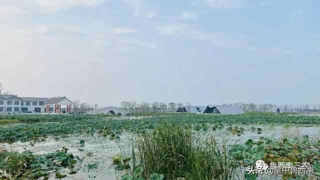 「鱼台旅游」鱼台第一所建在农村的水上公园-----嘟嘟鱼花园