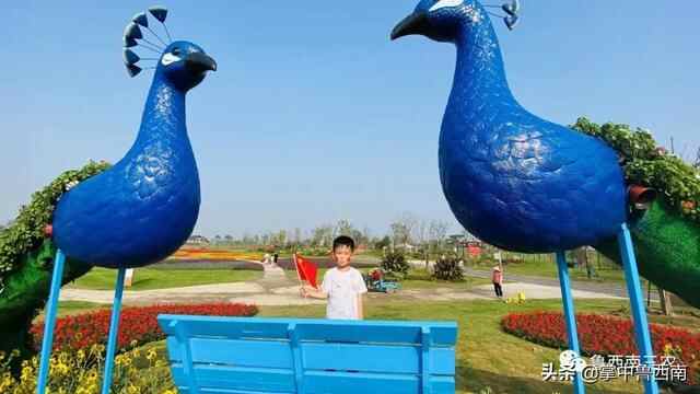 「鱼台旅游」鱼台第一所建在农村的水上公园-----嘟嘟鱼花园