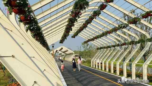「鱼台旅游」鱼台第一所建在农村的水上公园-----嘟嘟鱼花园