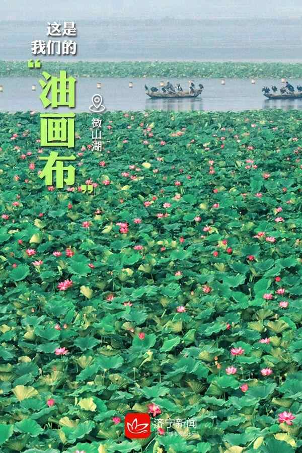 “凡尔赛”式自我介绍来啦！是时候给全国朋友介绍一下...