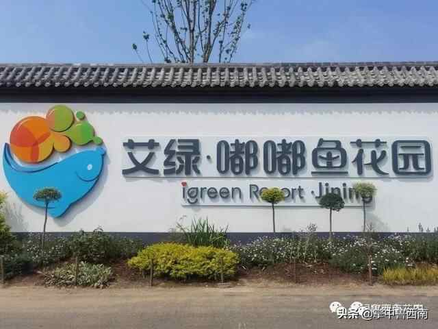 今年国庆节，鱼台很多人都来到这个地方旅游