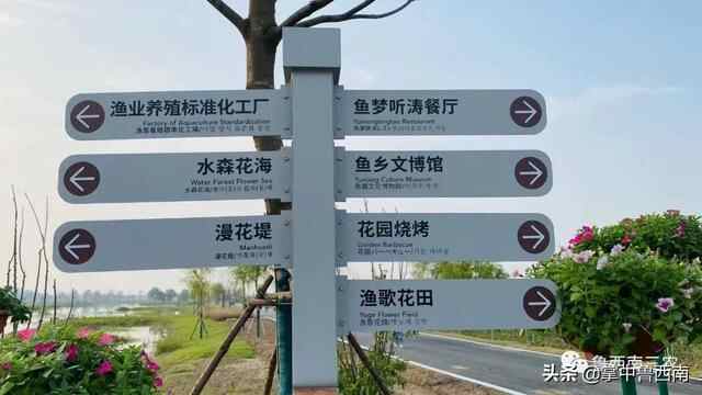 今年国庆节，鱼台很多人都来到这个地方旅游