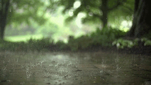 最新雨情！济宁还将有大雨到暴雨，周末宅家少出门！