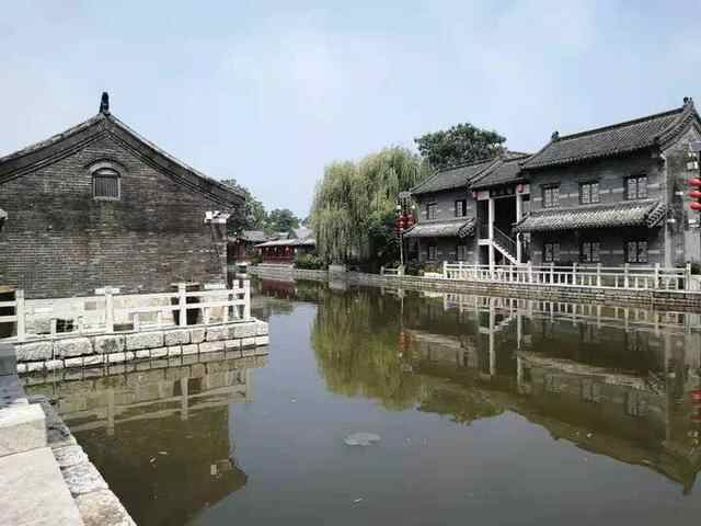 运河之城济宁，鸢飞鱼跃映日荷花