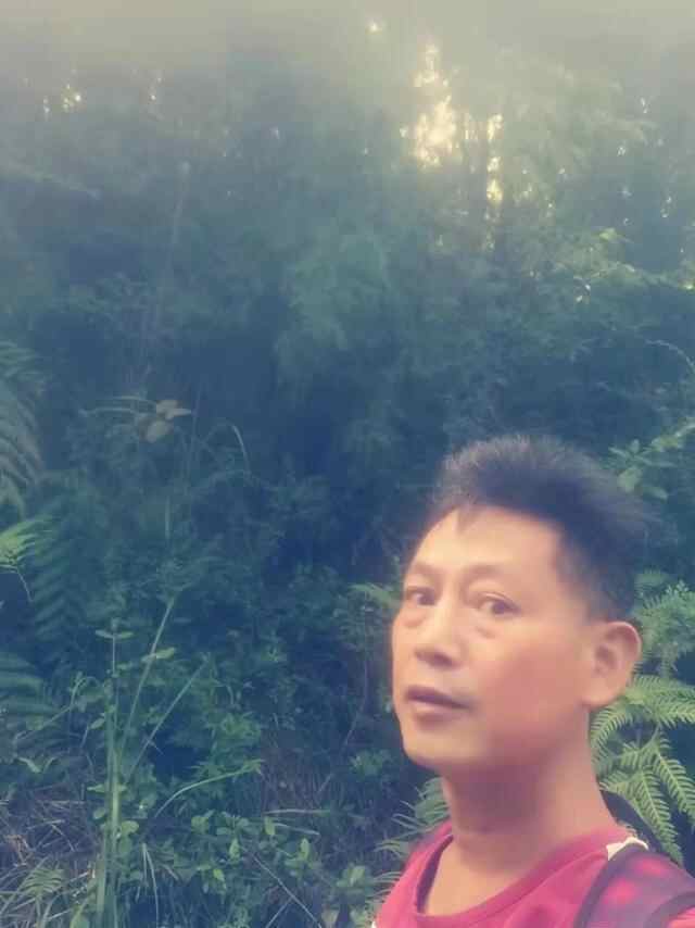怡品抽象：2021年十月份专刊