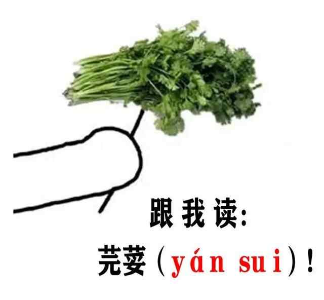 家在济宁，太爽了吧