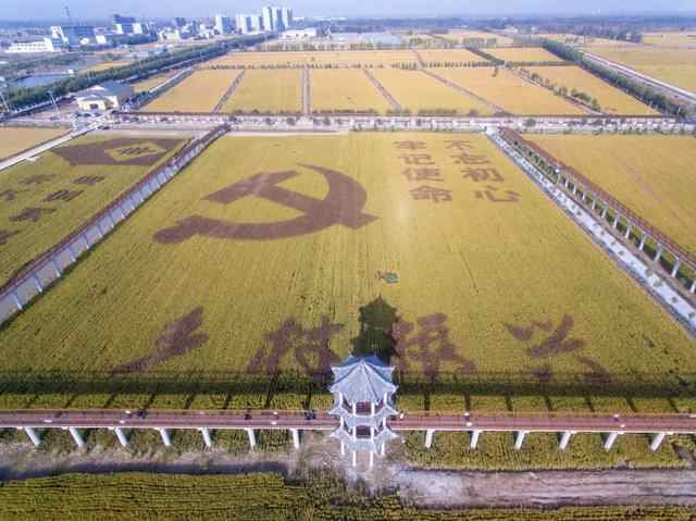 家在济宁，太爽了吧