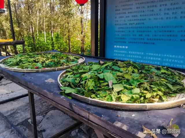 济宁：邹城的九山古村也太热闹了吧，养眼又怡情，满满的中国红
