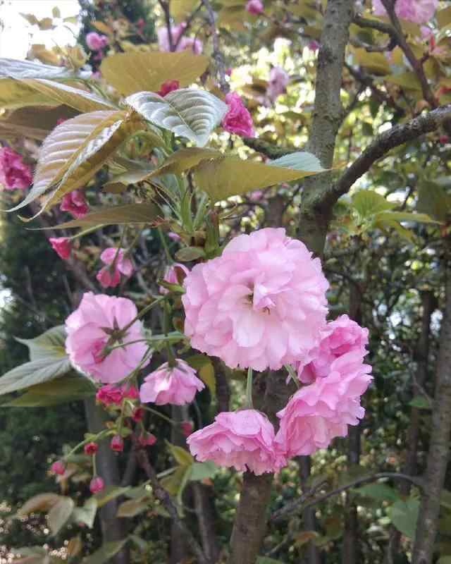 苍南县金乡镇狮山公园这里的风景秀丽独特