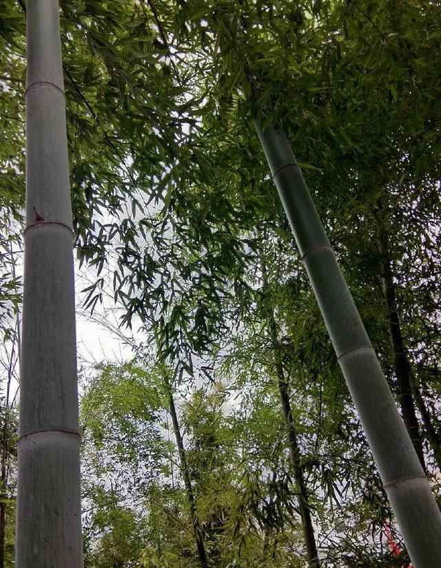 苍南县金乡镇狮山公园这里的风景秀丽独特