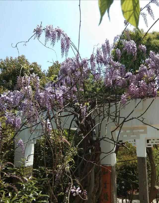 苍南县金乡镇狮山公园这里的风景秀丽独特