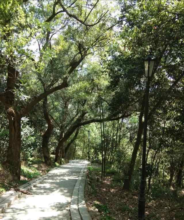 苍南县金乡镇狮山公园这里的风景秀丽独特