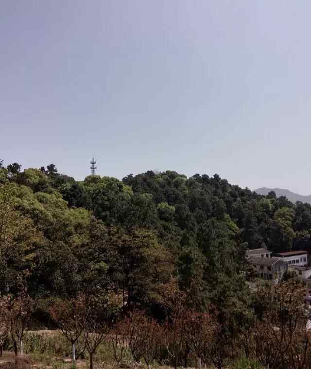 苍南县金乡镇狮山公园这里的风景秀丽独特