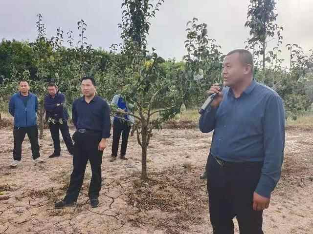 【岗位大练兵】古浪县泗水镇：岗位练兵提能力 观摩学习比成绩