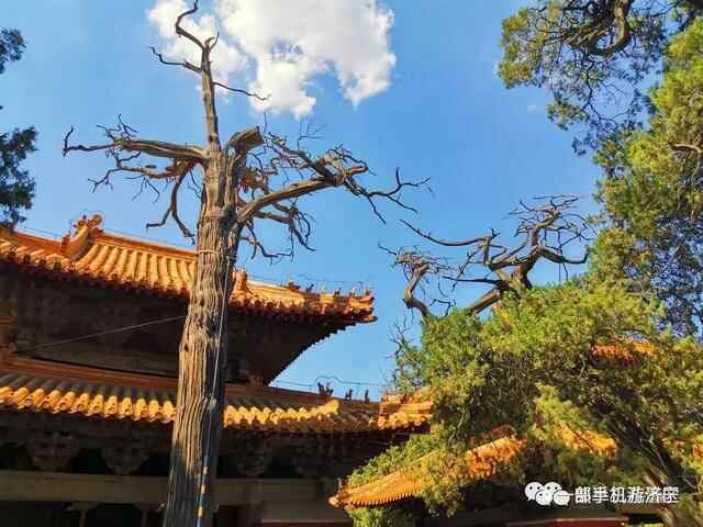 雨过天晴，这样的家乡济宁你爱上了吗