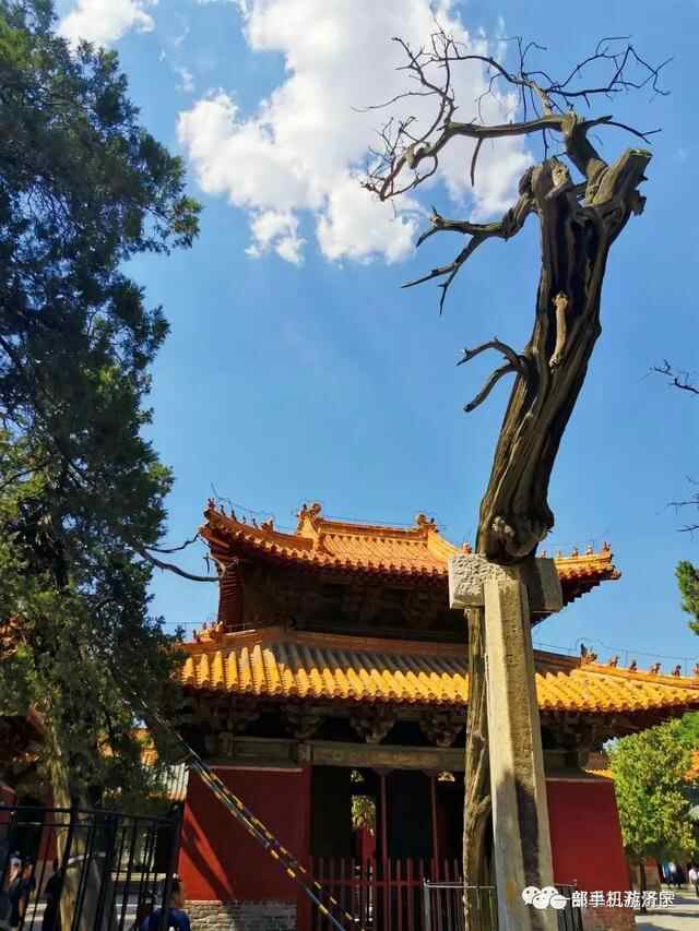 雨过天晴，这样的家乡济宁你爱上了吗