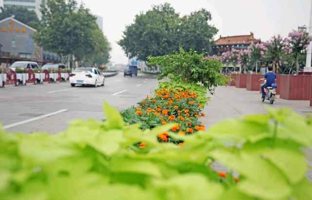 济宁太白路改造启动，造价不菲的石板遭到破坏，网友：...