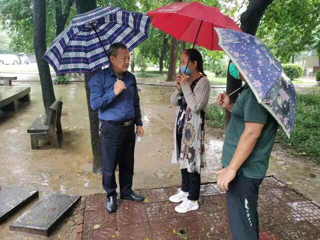 济宁戴庄百年流苏倾倒原因已查明，还能救活吗？