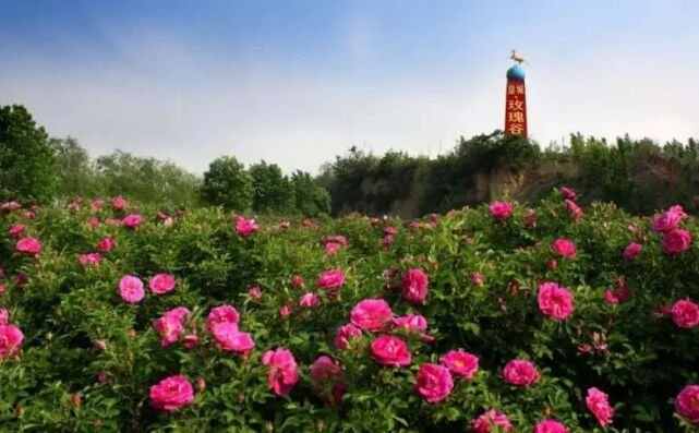 山东工业旅游：18处示范基地，填补你的假期