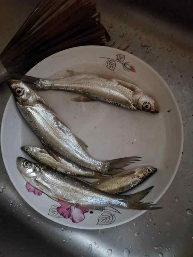 十一假期收尾微山湖畔再钓鱼