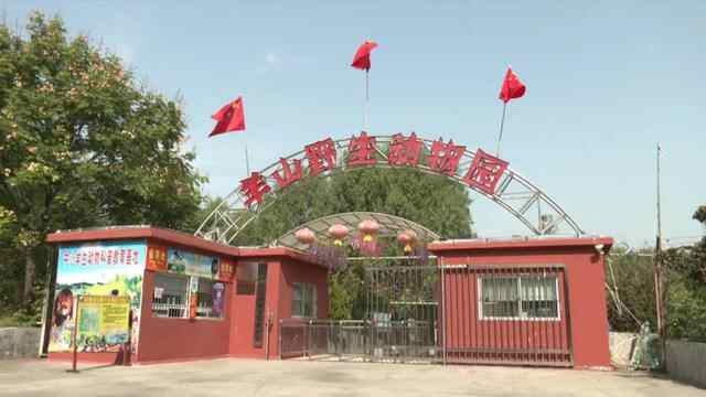 金秋十月聚羊山 丰富多彩庆国庆