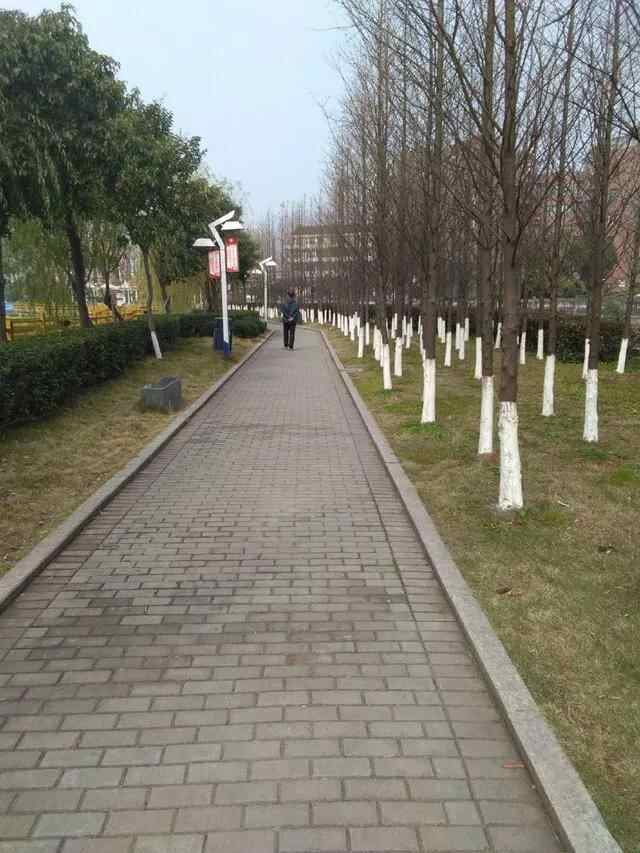 苍南县金乡镇迎旭岛公园，全民精神的家园