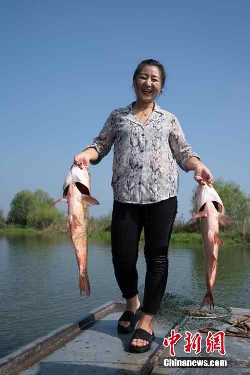 微山湖上的“渔家女”