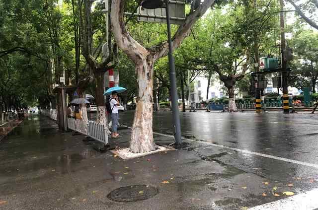 台风“烟花”即将抵达，济宁全力迎战