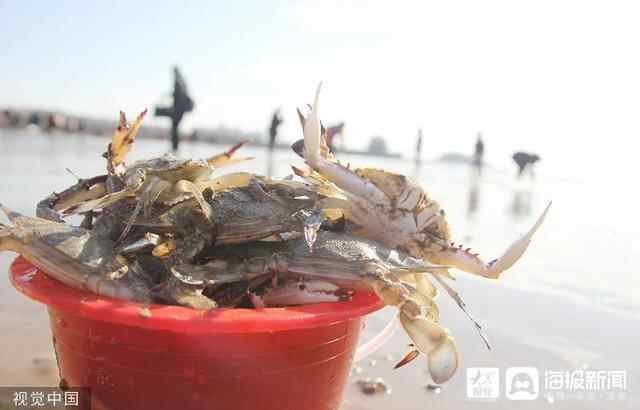 中秋佳节话螃蟹：吃的是螃蟹，品的是历史