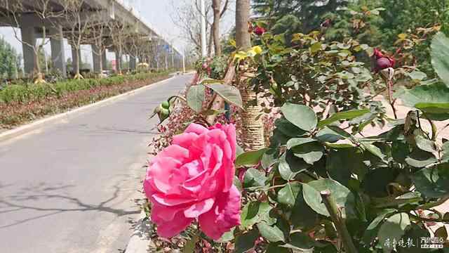 这里是济宁，一个充满人情味儿的城市