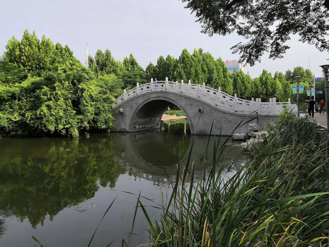 生态齐鲁 | 七城入选第二批国际湿地城市，山东唯一登榜城市济宁何以榜上有名