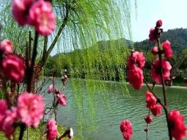 鱼台小城旧城改造景色美